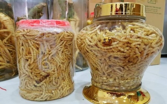 Cách ngâm rượu sâu chít chuẩn Tây Bắc Cách ngâm rượu sâu chít chuẩn Tây Bắc
