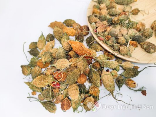Tác dụng của quả mướp đắng khô