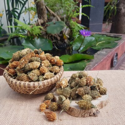 Mướp đắng rừng sấy khô và một số công dụng Mướp đắng rừng sấy khô và một số công dụng