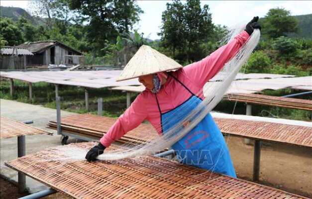 Miến dong bao nhiêu calo?