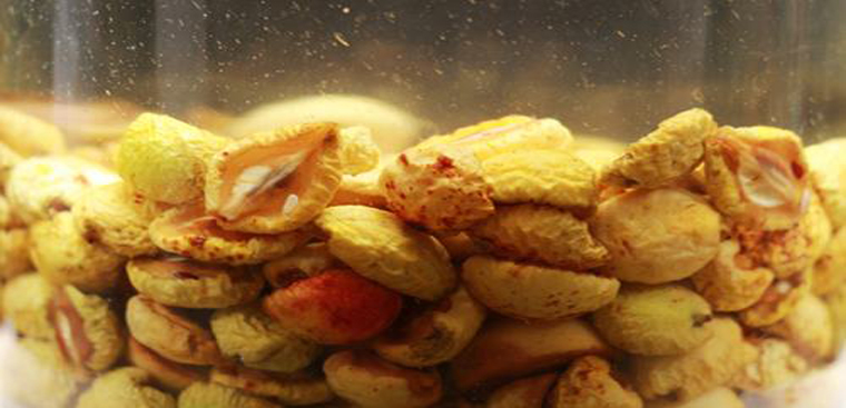 Kinh nghiệm ngâm rượu táo mèo với mật ong