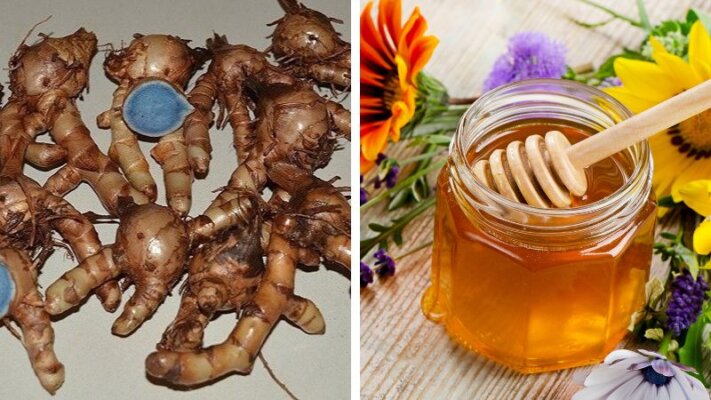 Tác dụng của tam thất mật ong