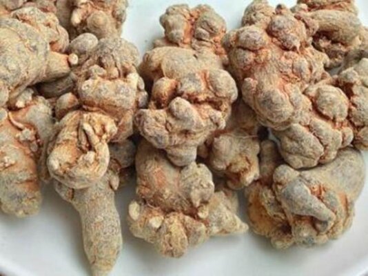 Tác dụng của tam thất ngâm mật ong, bạn biết chưa Tác dụng của tam thất ngâm mật ong, bạn biết chưa