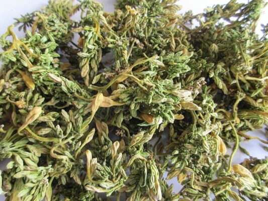 Cách sấy hoa đu đủ đực đúng cách