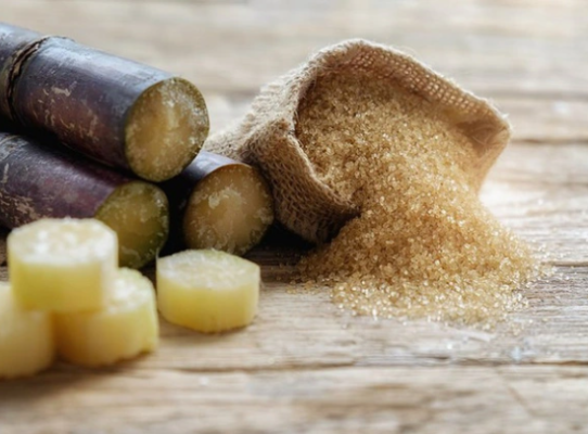 Uống đường mía hà thủ ô có tác dụng gì