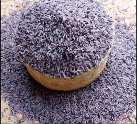 Gạo tẻ nương tím có tác dụng gì
