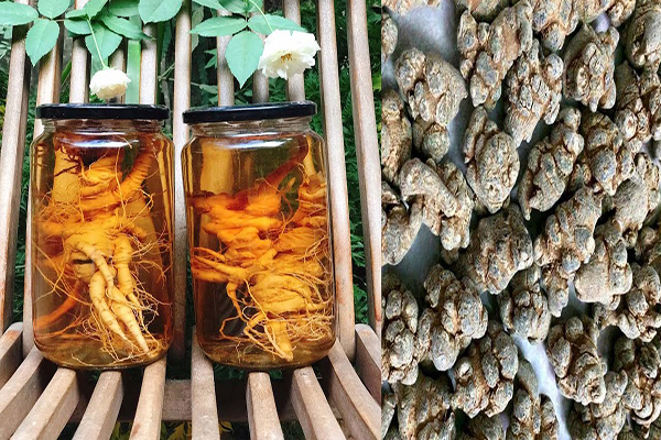 Tam thất ngâm rượu có tác dụng gì