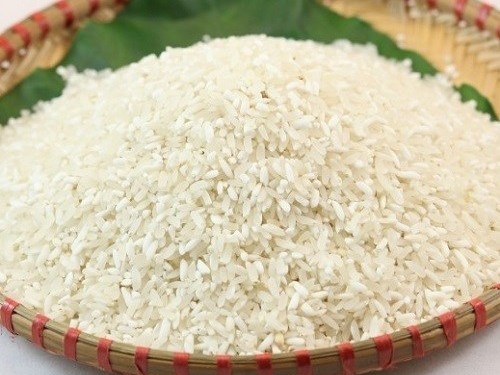 Gạo Séng cù Than Uyên, đặc sản núi rừng Gạo Séng cù Than Uyên, đặc sản núi rừng