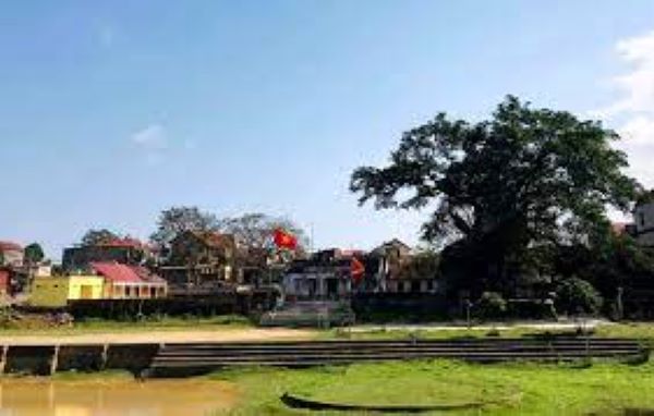 Trâu trắng
