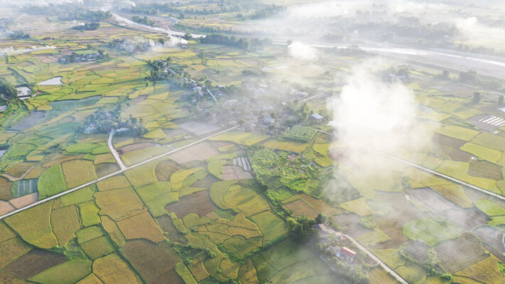 Khám phá những cánh đồng lớn nhất vùng Tây Bắc