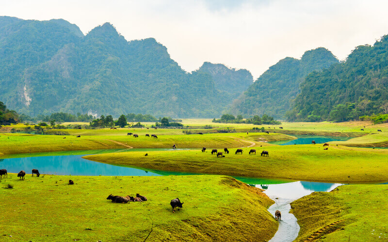 Lạc Sơn Hòa Bình có gì