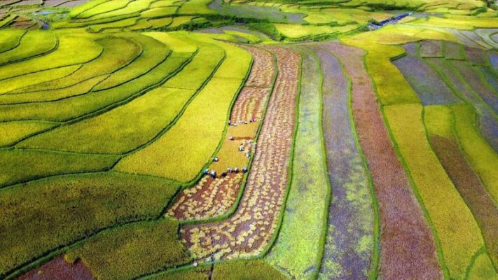 Khám phá du lịch Than Uyên, Lai Châu Du lịch Than Uyên ngày xuân
