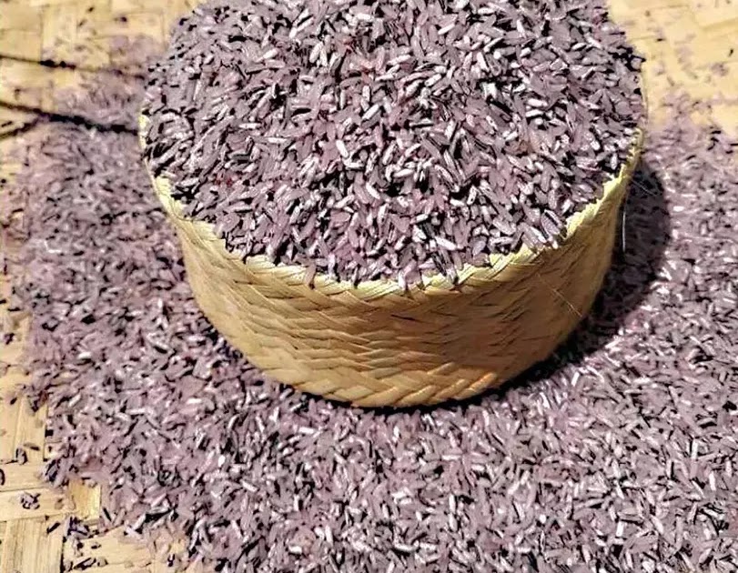 Gạo tẻ nương tím Tây Bắc Gạo tẻ nương tím Tây Bắc