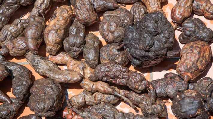 Tác dụng của đường mía hà thủ ô