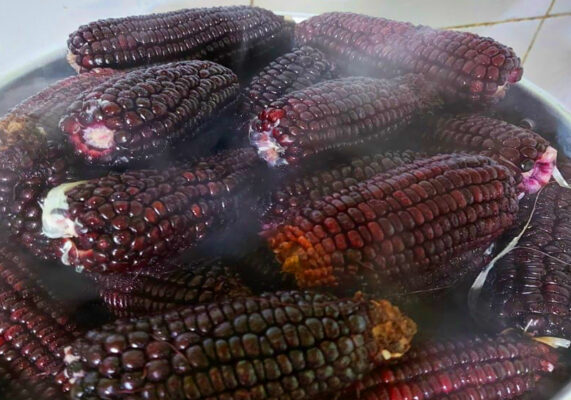 tác dụng của ngô tím ngâm rượu