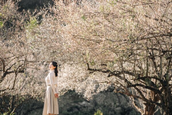 Bỏ túi các địa điểm du lịch ở Mộc Châu Sơn La