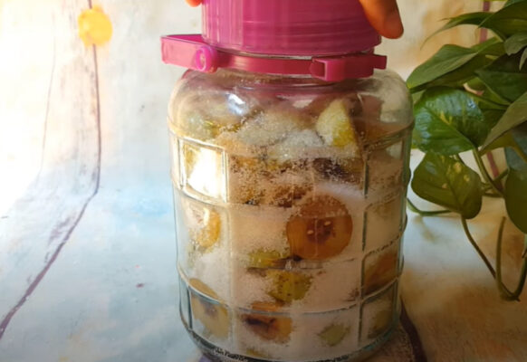 Cách ngâm táo mèo với đường