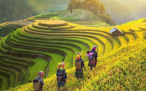 Các địa điểm phượt Tây Bắc bạn không nên bỏ qua