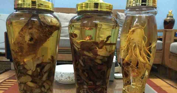 bình rượu đại bổ long