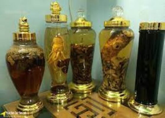 Rượu ngâm tốt cho sức khỏe