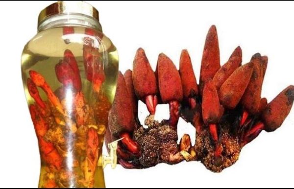 Rượu ngâm tốt cho sức khỏe nam giới
