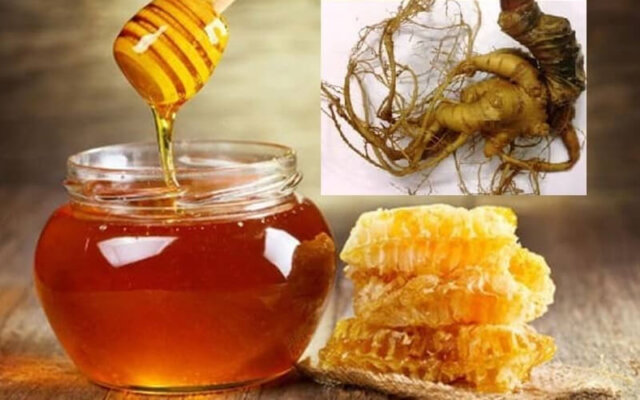 Mật ong đá rừng Mật ong đá rừng