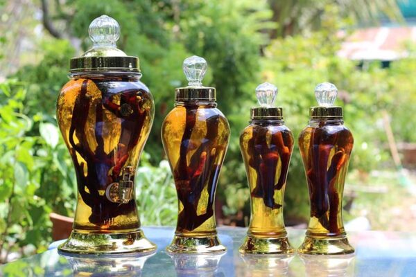 Các loại rượu ngâm tốt chó sức khỏe