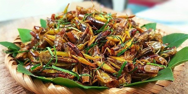 Cách chế biến món muồm muỗm rang ngon lạ miệng