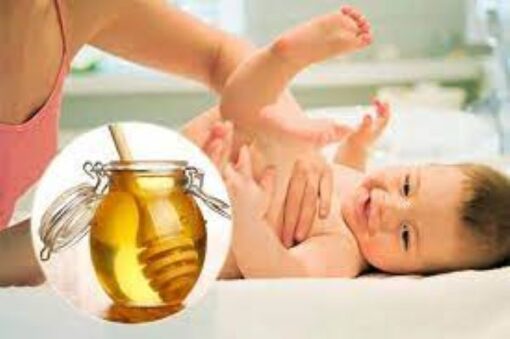Sử dụng Sâm đương quy ngâm mật ong