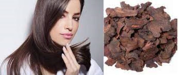 Tác dụng đen tóc của hà thủ ô Tác dụng đen tóc của hà thủ ô