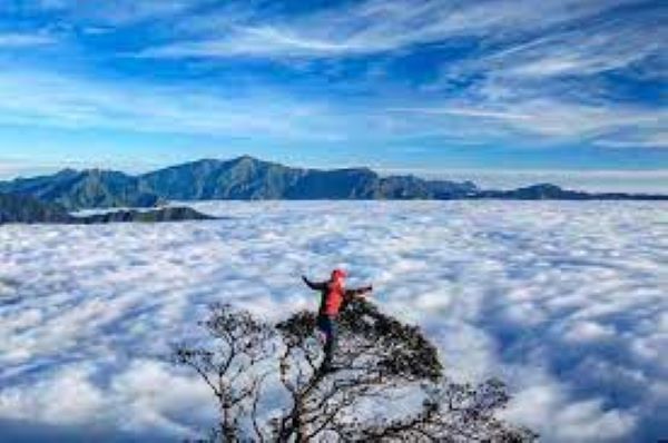 Lí do mê thiên đường mây Tà Xùa