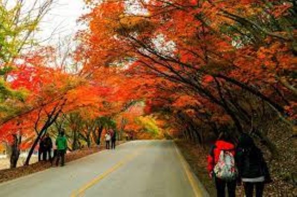 Kinh nghiệm du lịch Đà Lạt