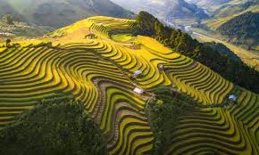 Tây Bắc ở đâu