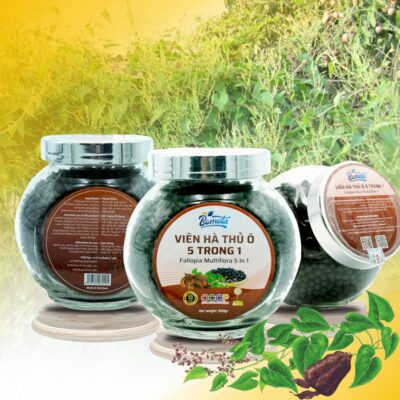 Viên hà thủ ô Xuân Nguyên Viên hà thủ ô Xuân Nguyên