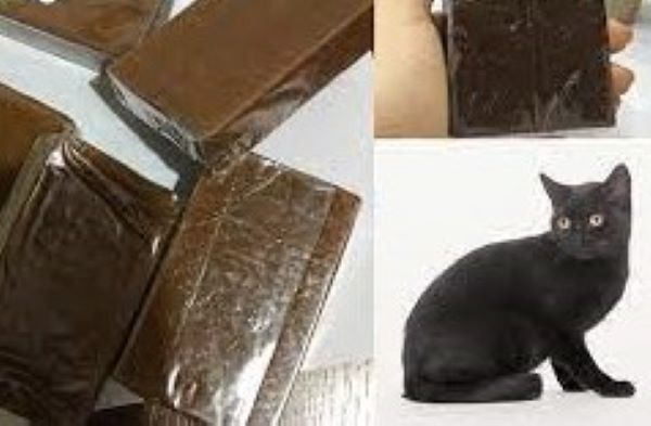 Tác dụng của cao mèo đen