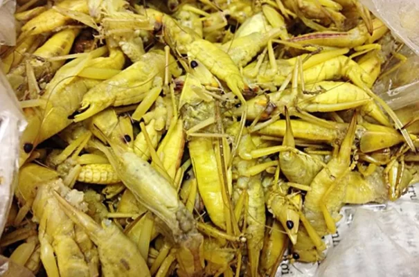 Sơ chế con muỗm