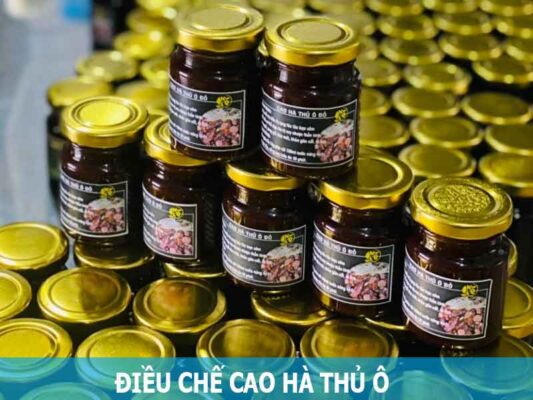 Cách uống cao hà thủ ô hiệu quả Hướng dẫn cách dùng cao hà thủ ô