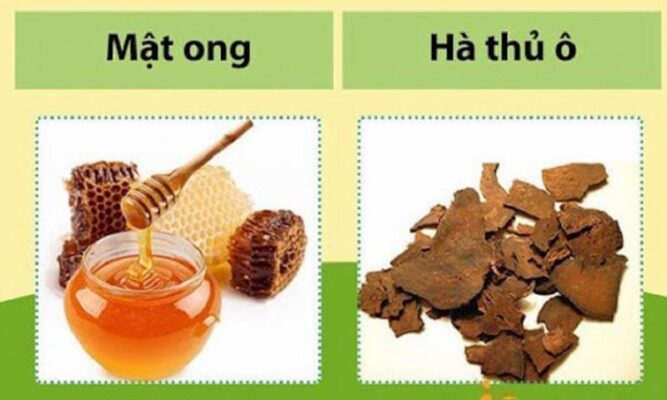 Bột hà thủ ô với mật ong Bột hà thủ ô với mật ong