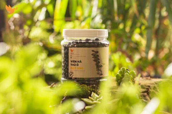 cách dùng hà thủ ô