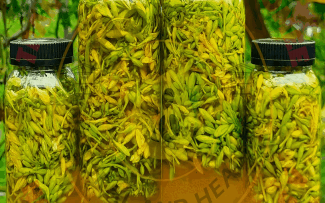 Hoa đu đủ đực ngâm mật ong bảo lâu thì uống được