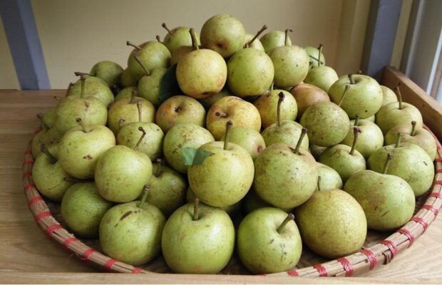 Nông sản sạch Tây Bắc