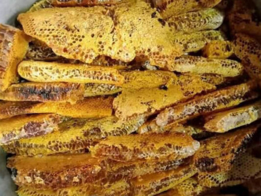 Mật ong đá rừng Mật ong đá rừng