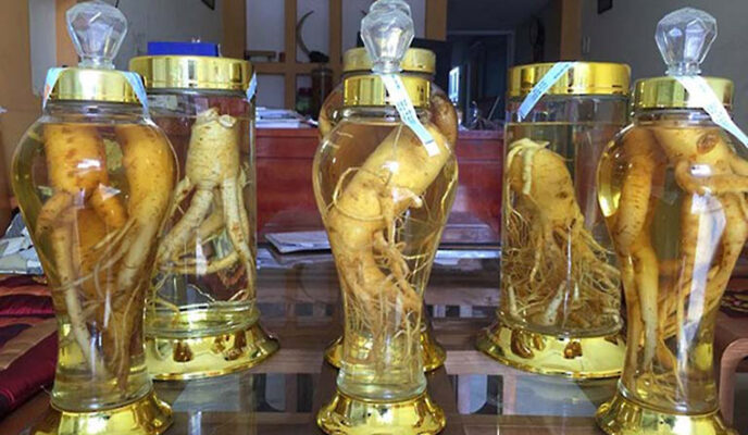 Đinh lăng ngâm rượu