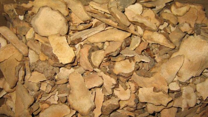 Rượu thổ phục linh - công dụng và cách dùng