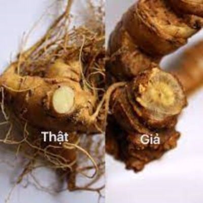 Phân biệt tam thất thật và giả