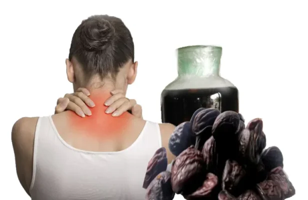 Công dụng của hạt dổi rừng trong điều trị bệnh