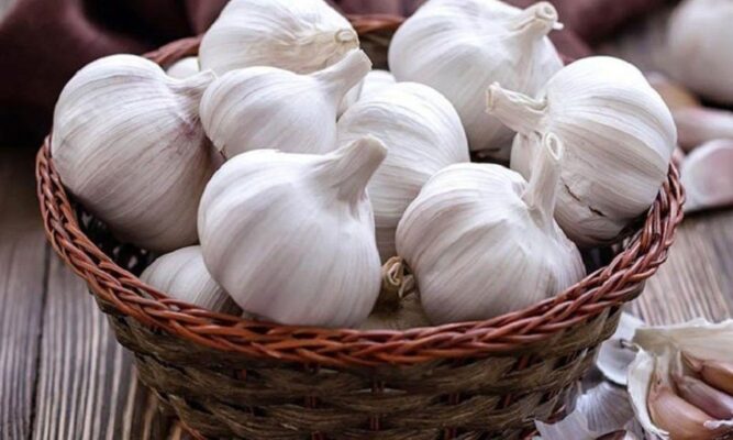 Những điều bạn cần lưu ý khi ăn tỏi