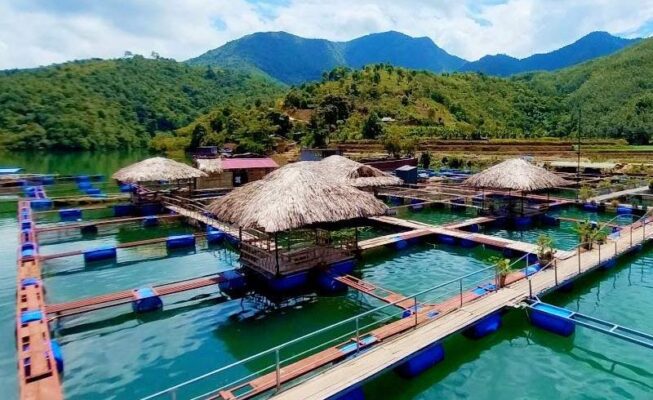 Khám phá làng cá Thẩm Phé - Du lịch lòng hồ Bản Chát