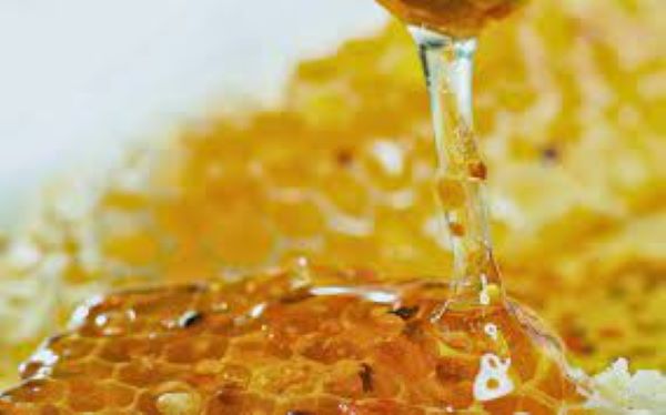 Mật ong đá Tây Bắc Mật ong đá Tây Bắc