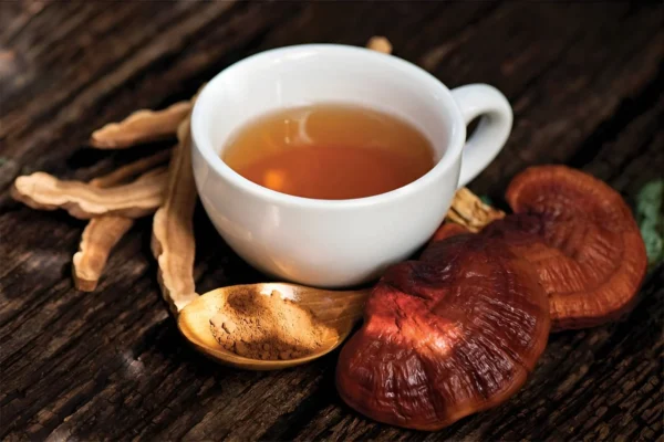 Công dụng chữa bệnh của nấm lim xanh tự nhiên